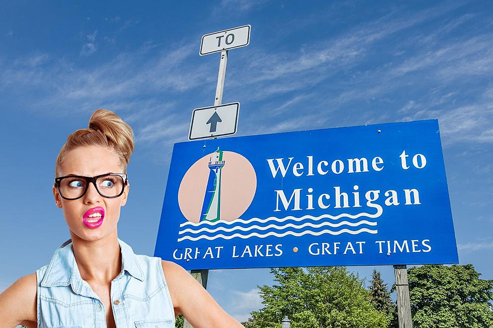 Um, Rude – Michigan is Among the Top Ten Most Hated States