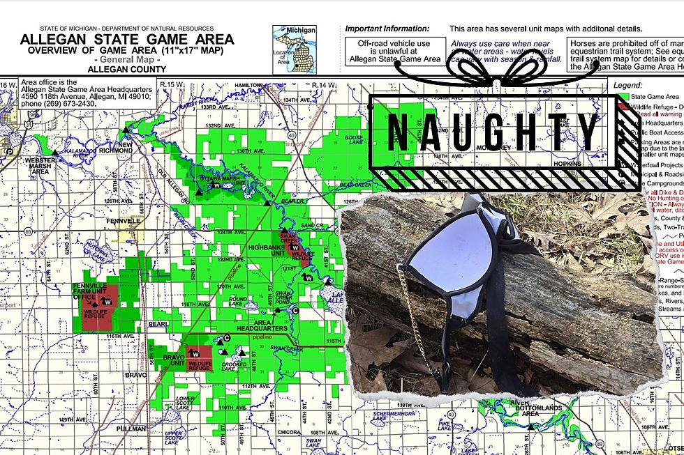 Are People Getting Naughty in Allegan State Game Area?