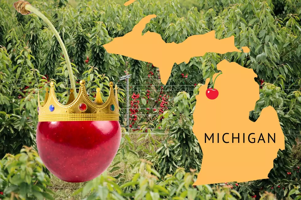 Is Traverse City at Risk of Losing its Title of ‘Cherry Capital of the World’?