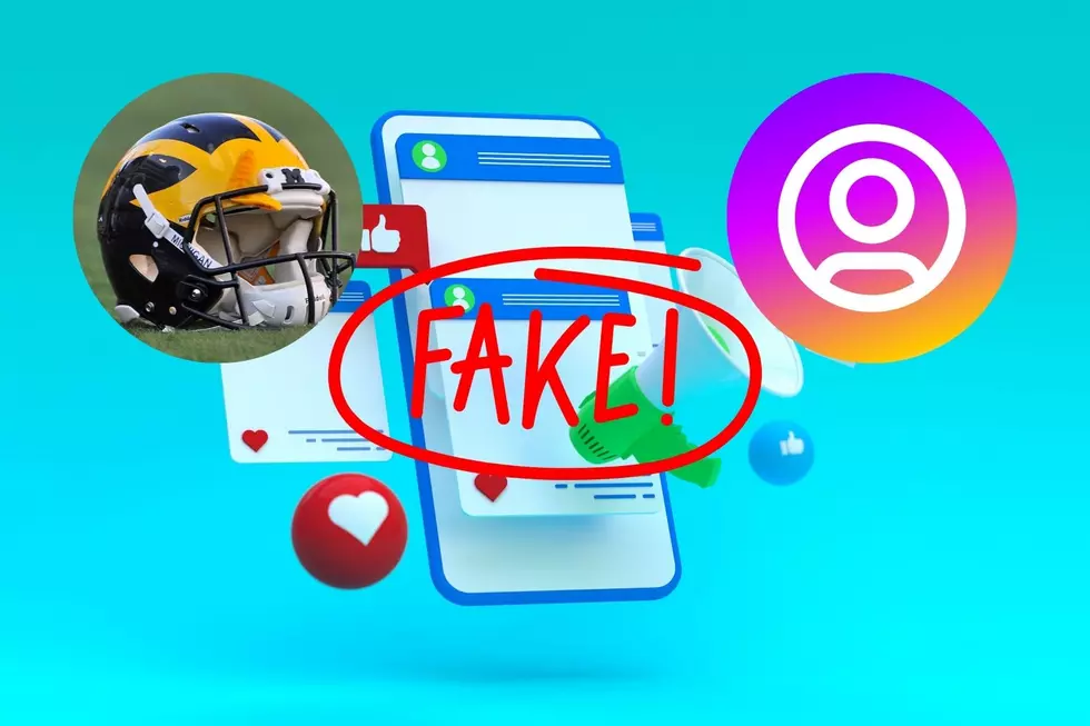U Of M Has Some Of The Most Fake Followers On Instagram