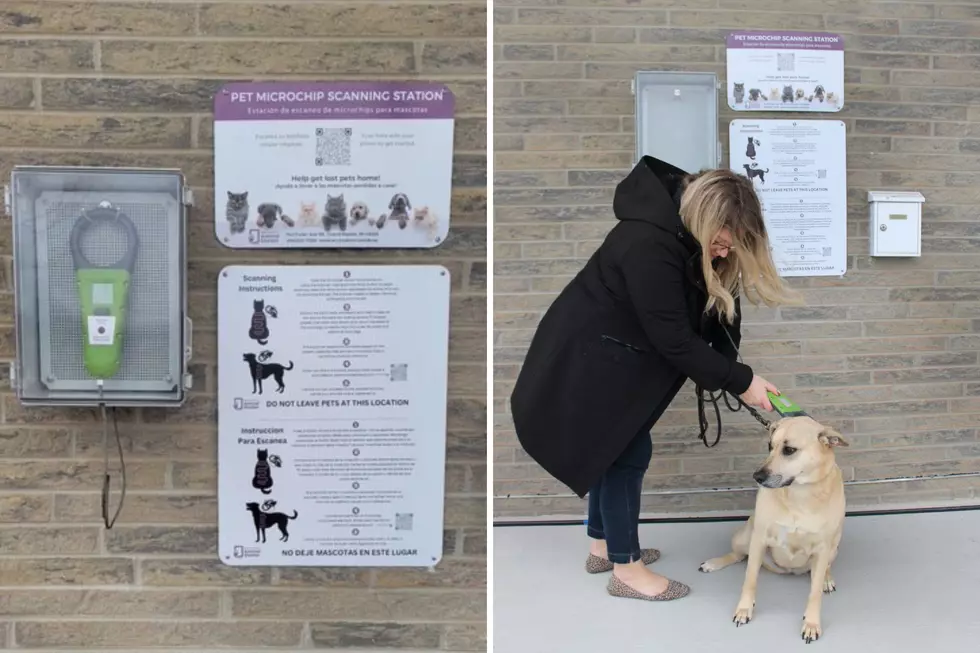 Michigan’s First Pet Microchip Scanning Station Opens in Kent County