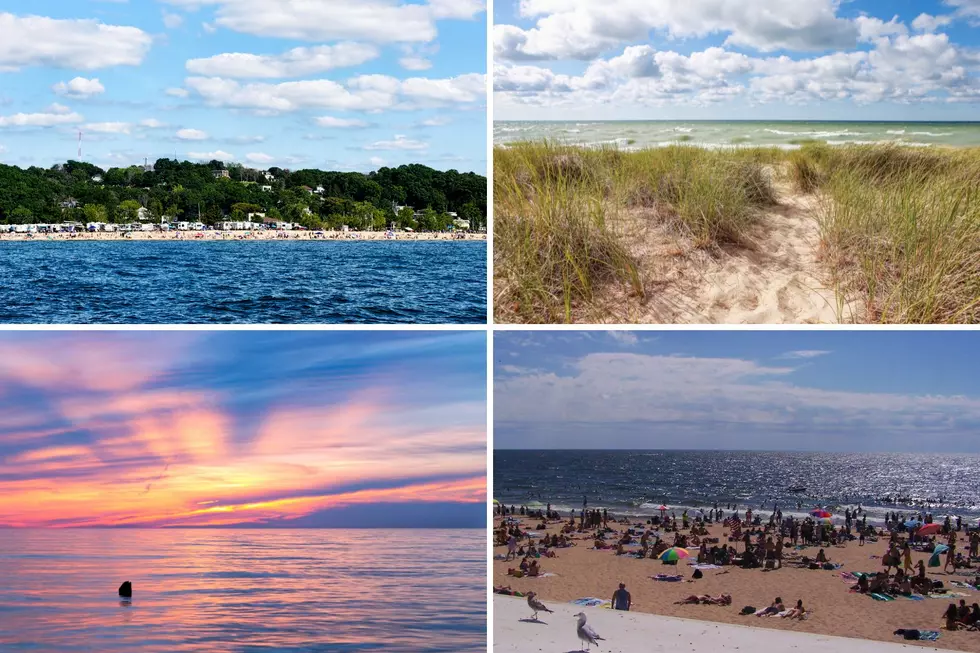This Michigan Beach Ranked Among 25 Best in the Entire Country