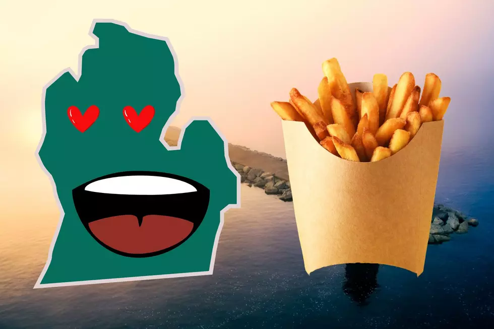 New Study Reveals Michigan&#8217;s Favorite Fast Food French Fries
