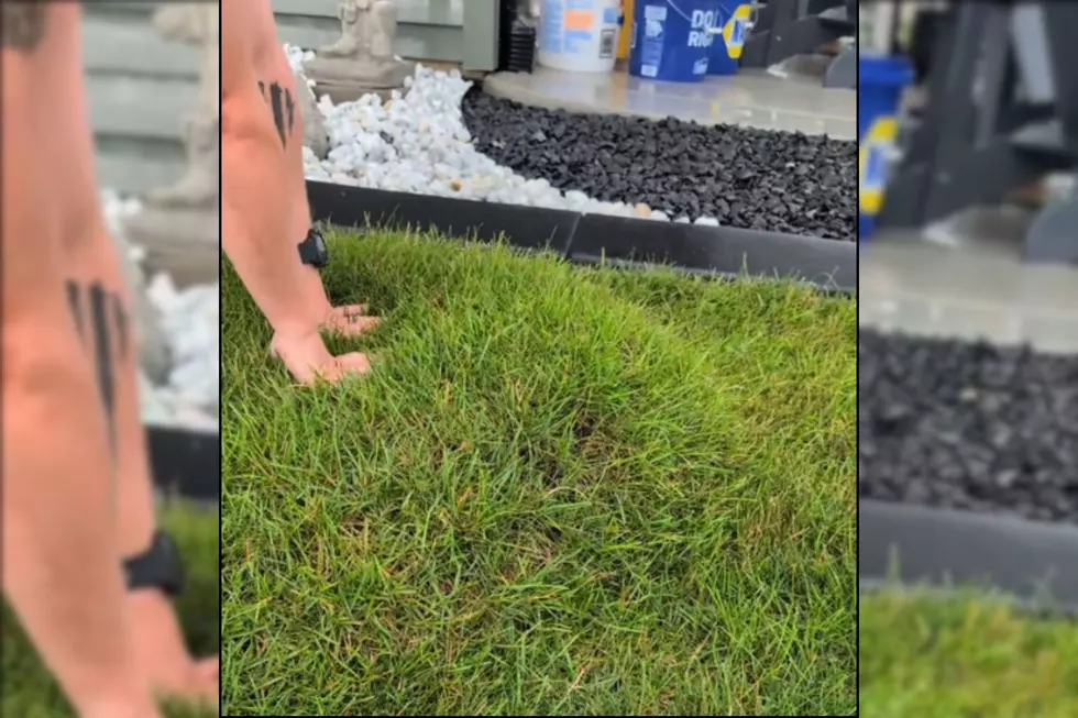 Hudsonville Family’s Lawn ‘Bubbles Up’ After Rain Storm