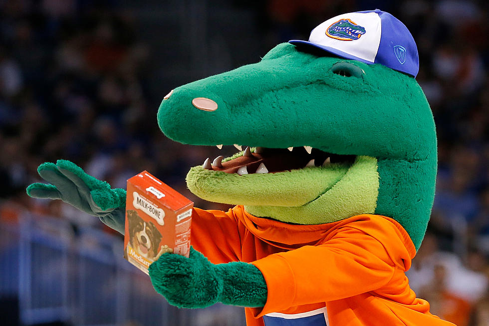 Florida Appoints Search Committee to Find Athletic Director