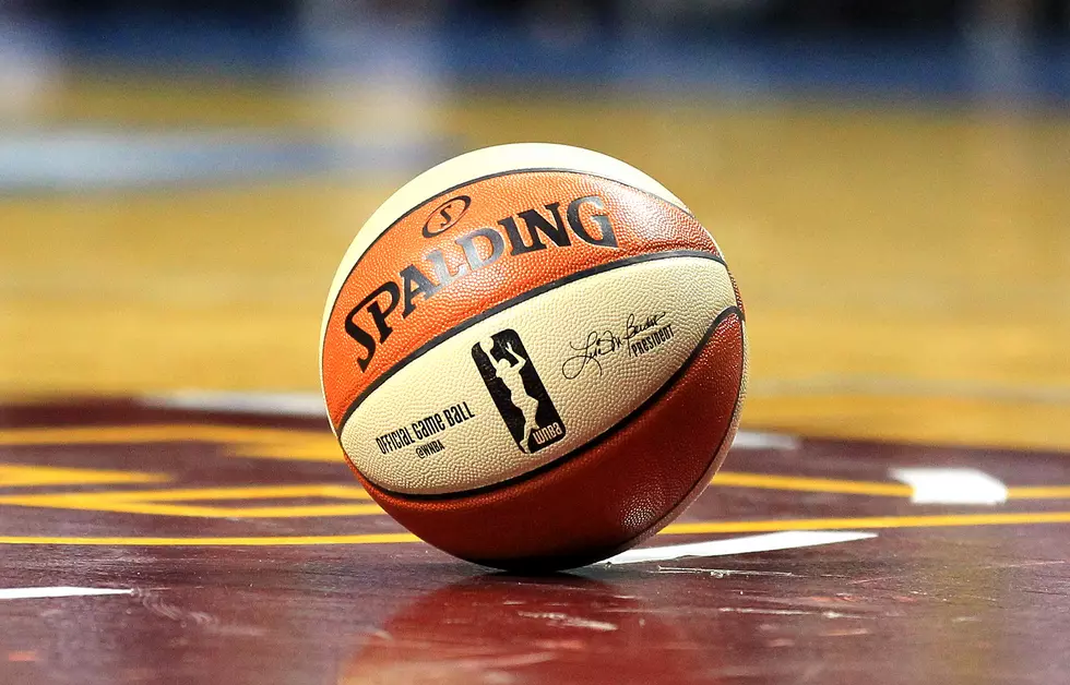 WNBA Postponing the Start of the its Season