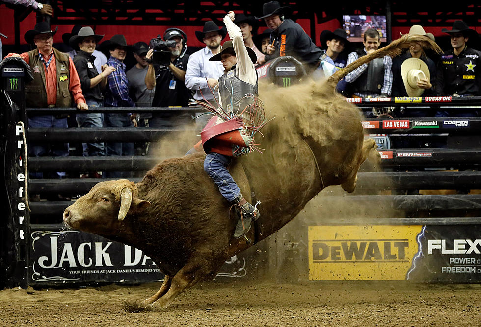 Bull Rider Dies After Being Stomped in Denver Competition