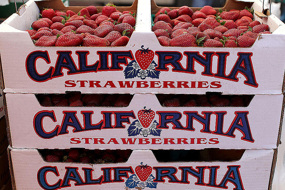 Ag News: So Cal Strawberry Harvest and Beef Exports Strong