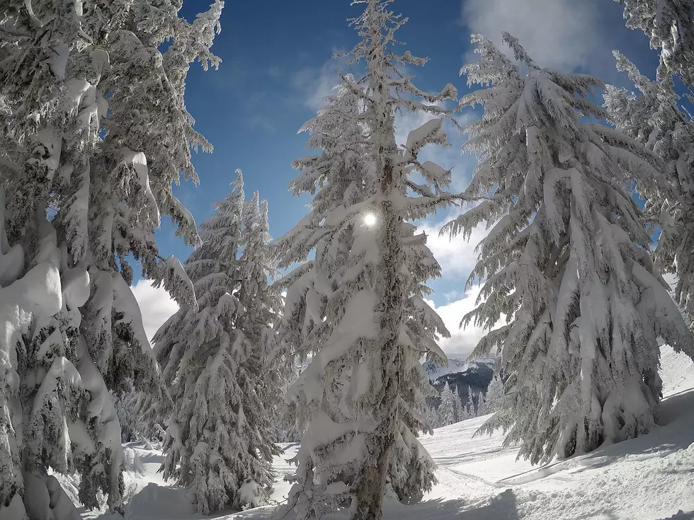 Snow Filled Washington Cascades Snow Pack Levels Look Good