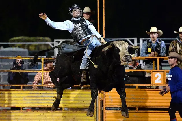Bull Riding May be 1st US Professional Sport to Welcome Fans