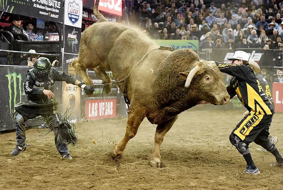 Bull Rider Killed in ‘Freak’ Accident’ During Competition