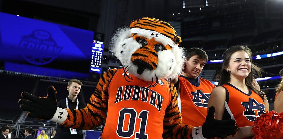 Auburn Flies to No. 1 in AP Top 25 for First Time in History