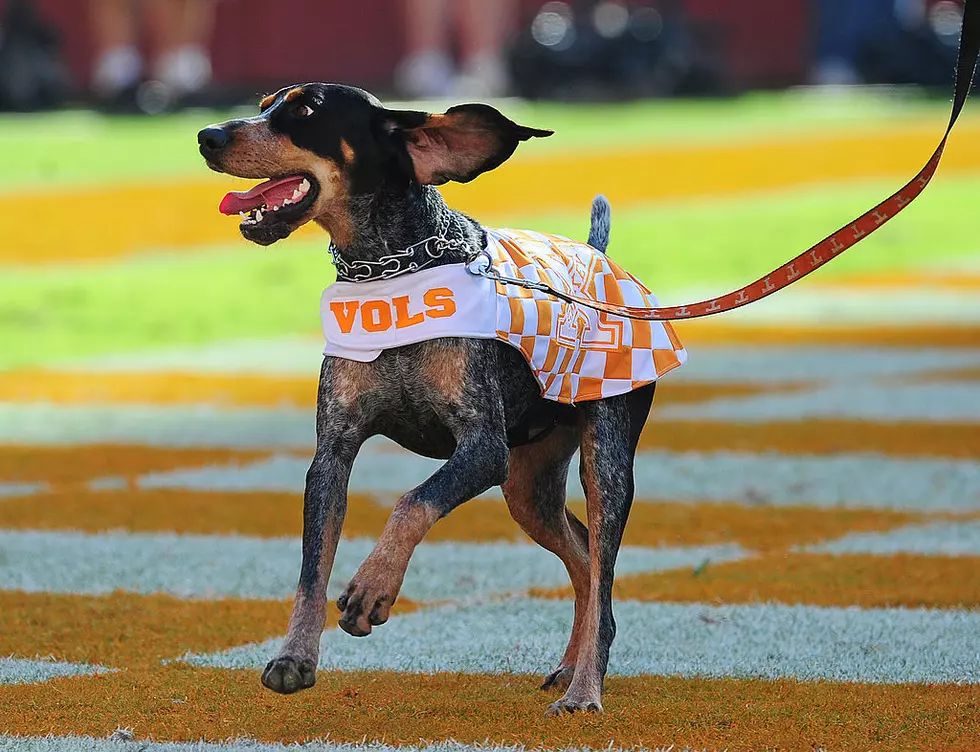 AP Top 25: Tennessee up to No. 3, ‘Bama’s Top-5 Streak Ends