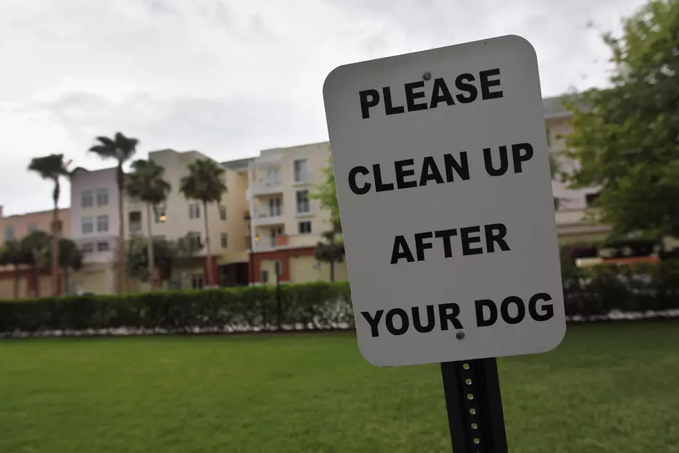 Dog Doos and Doo Nots: Clean up after your dog!