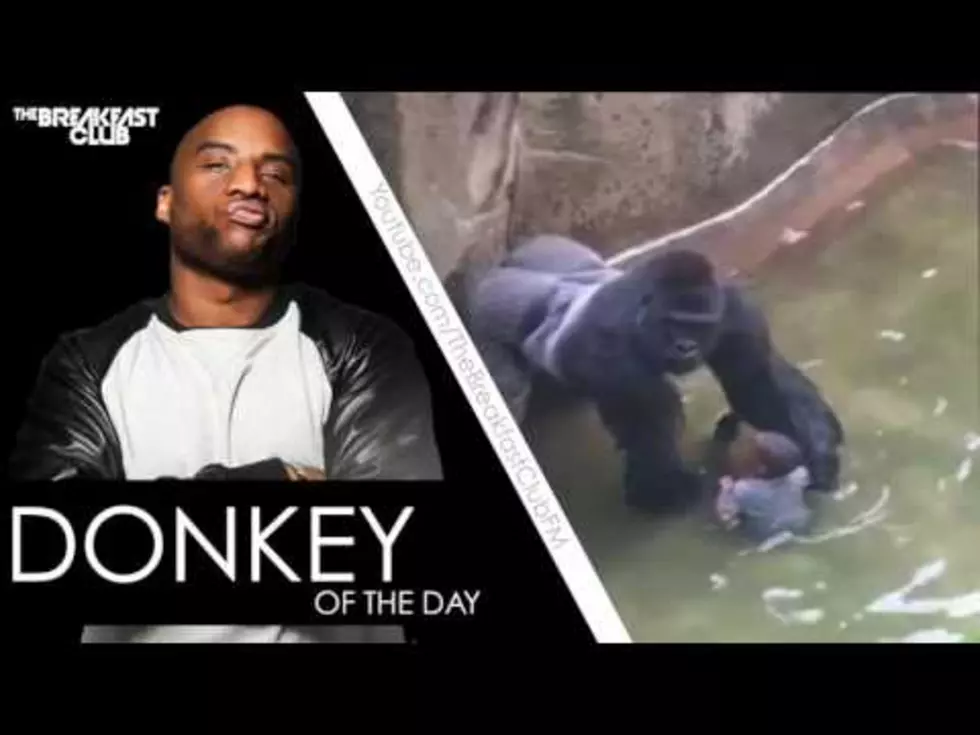 Donkey Of The Day – Michelle Gregg Son Fell Into Gorilla Enclosure [BREAKFAST CLUB]