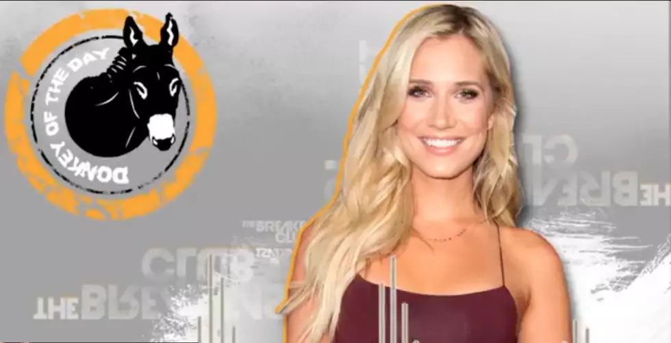 Donkey Of The Day : Kristine Leahy