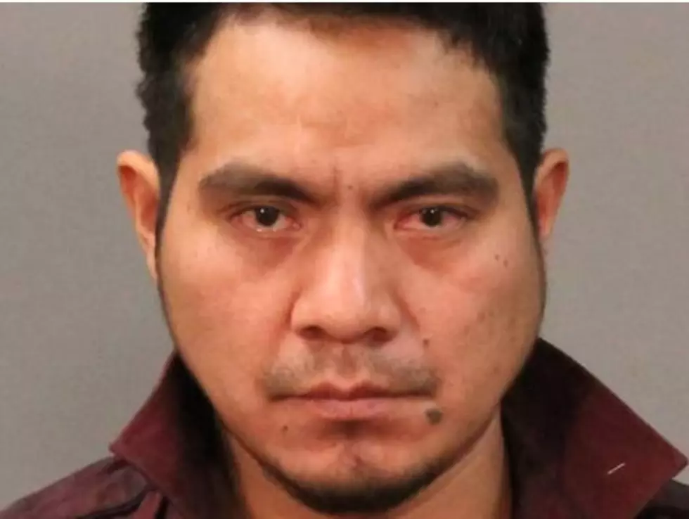 Illegal Immigrant Pleads Guilty To Vehicular Homicide
