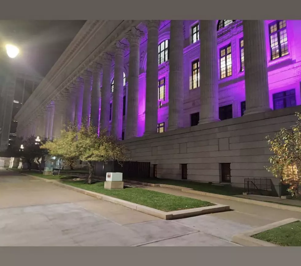 The Capital Region Is Purple For Domestic Violence Awareness