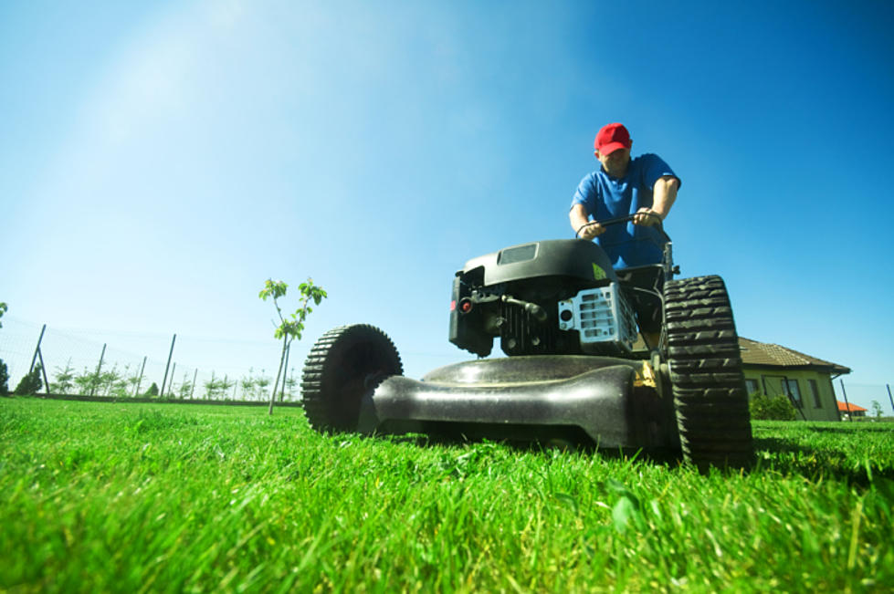 How Often Do You Mow Your Lawn?