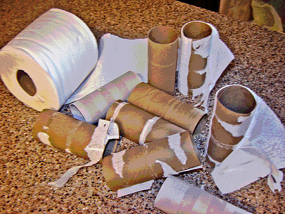 A Website Lets You Calculate How Much Toilet Paper You Need