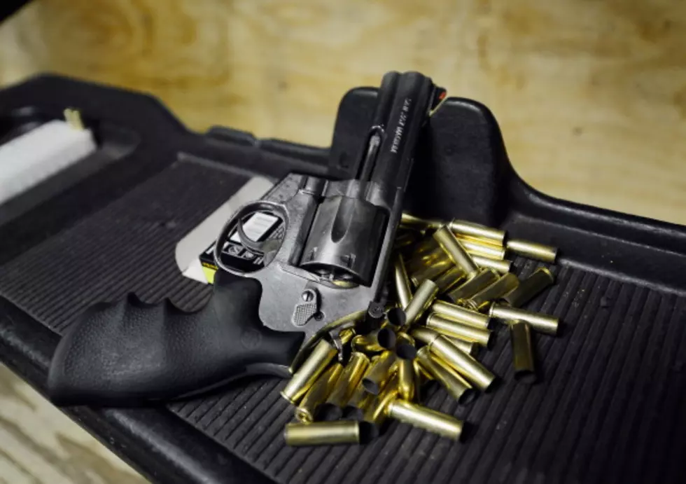 Speaker’s Task Force Releases Report On Gun Laws