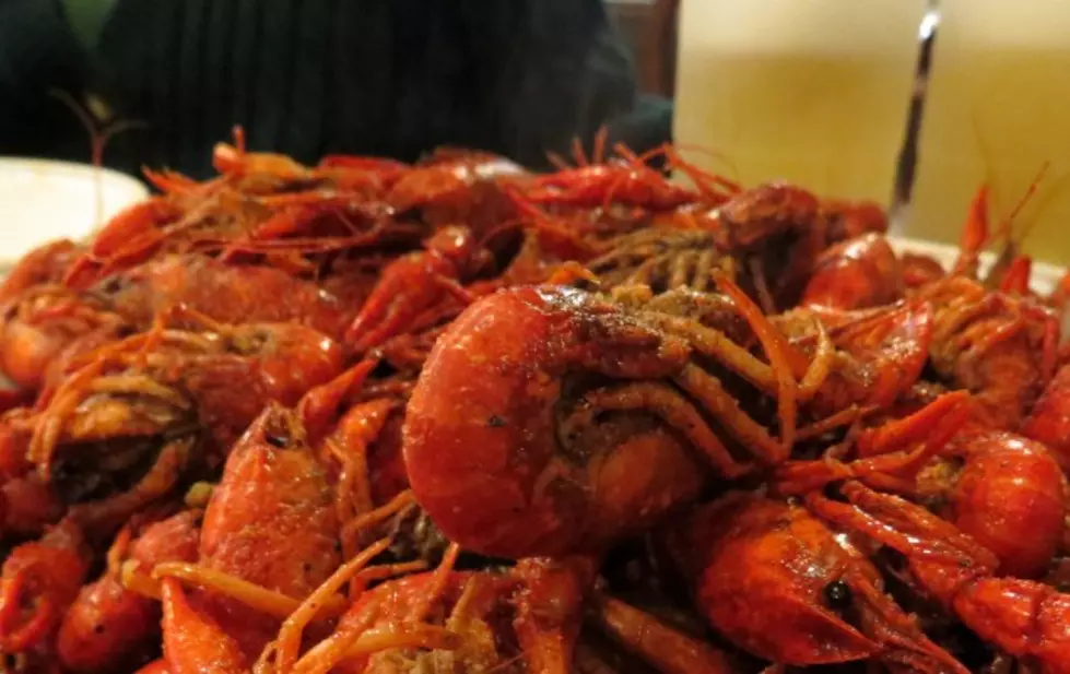 Crawfish in Texarkana — First Hut Scheduled to Open This Week