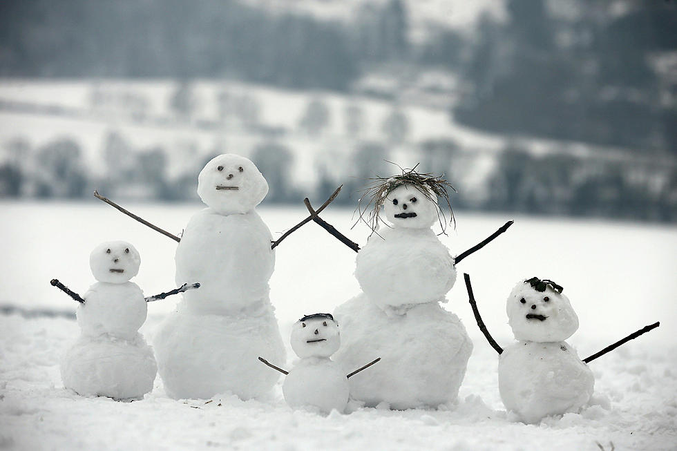 10 Types of Snow Personalities 