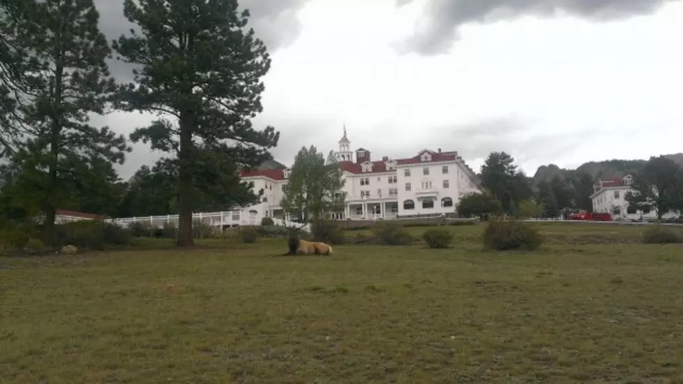The Stanley Hotel Announces National Sculpture Competition
