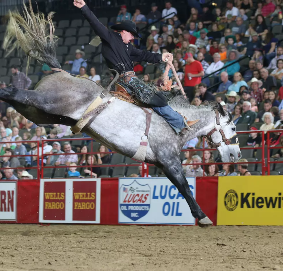 Cody Nite Rodeo Approved; No Exemption Requests For Stampede