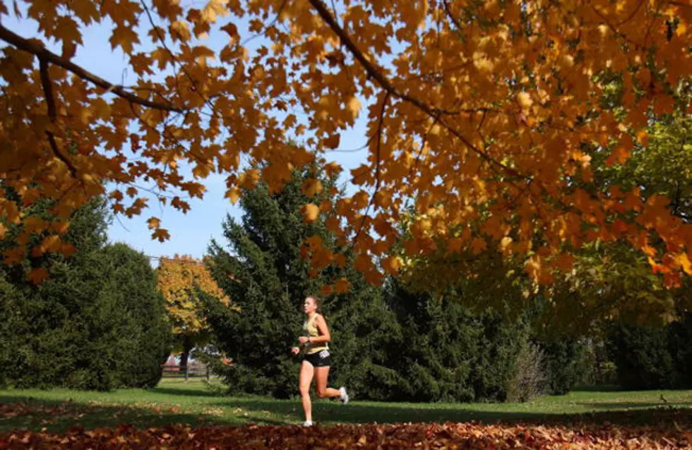 Best Places to See The Leaves Change in Grand Rapids–Our Top Five