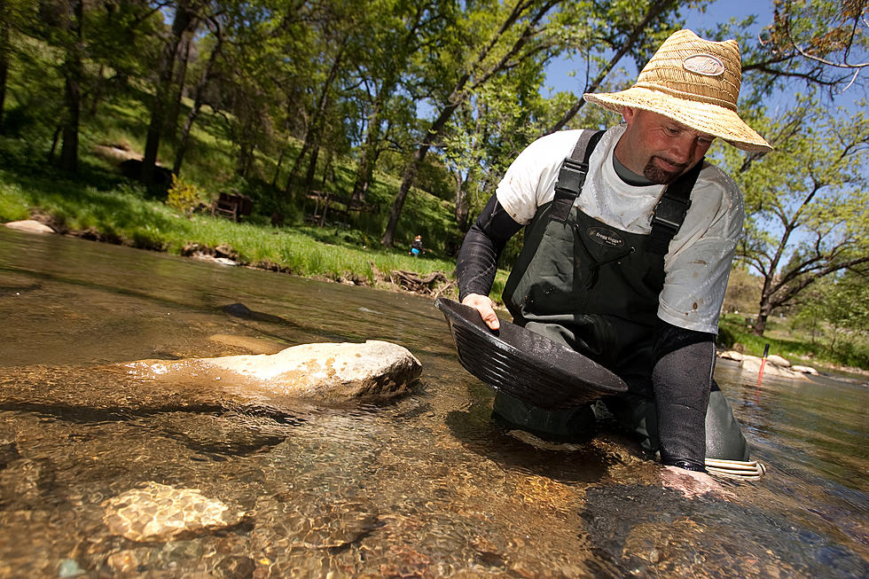 Panning For Gold…In Michigan