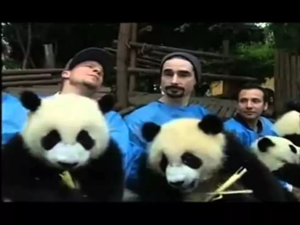 Backstreet Boys Cuddle With & Serenade Baby Pandas In China [Video]