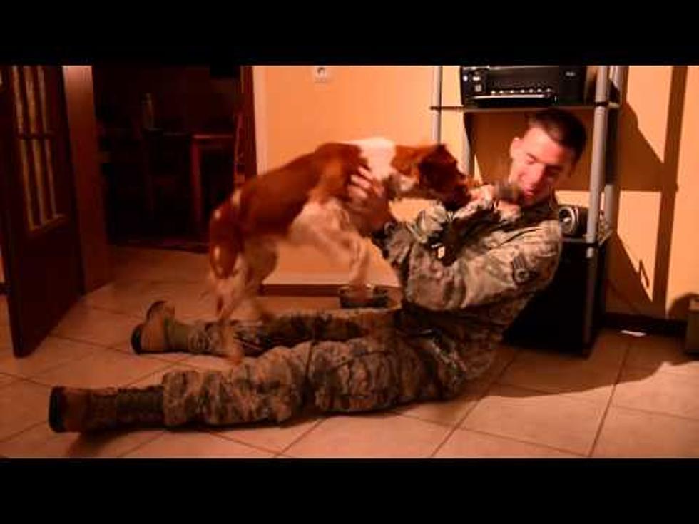Man’s Best Friend Welcomes Home Airman [Video]