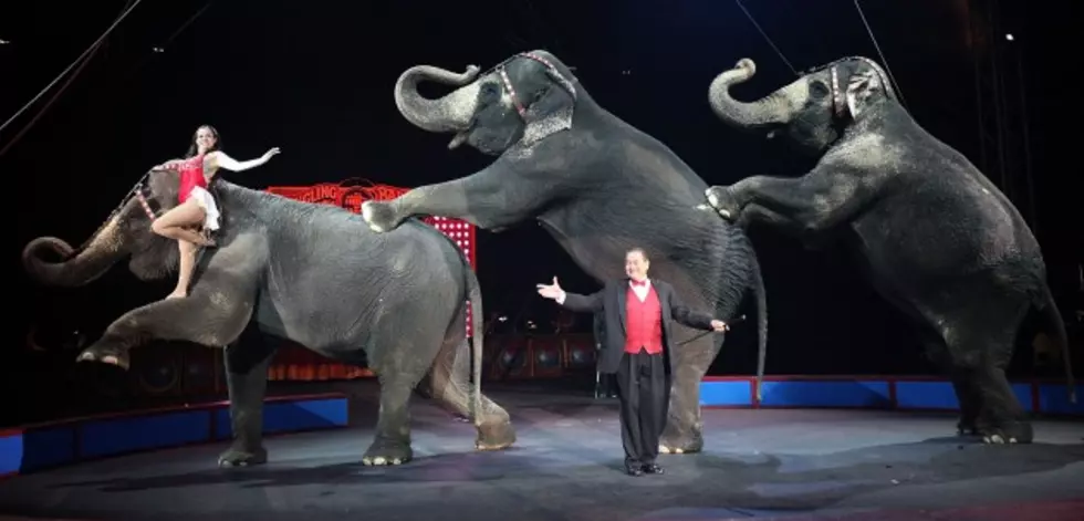 Ringling Bros. Circus Will Eliminate Elephant Acts by 2018