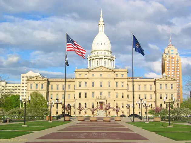 Michigan Laws Going into Effect in 2016