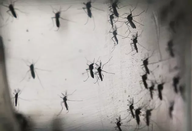 First Case of Zika Virus Confirmed in Michigan