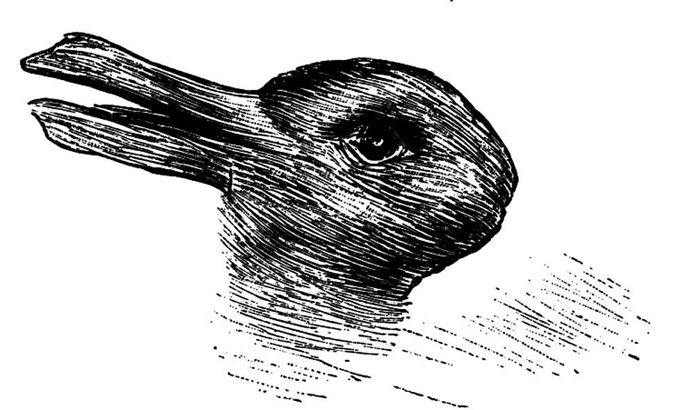Do You See A Duck Or A Bunny?  The Answer Might Say A Lot About You