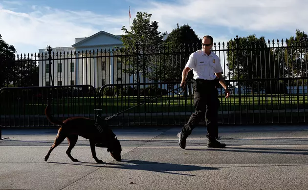 Another Security Breach At The White House