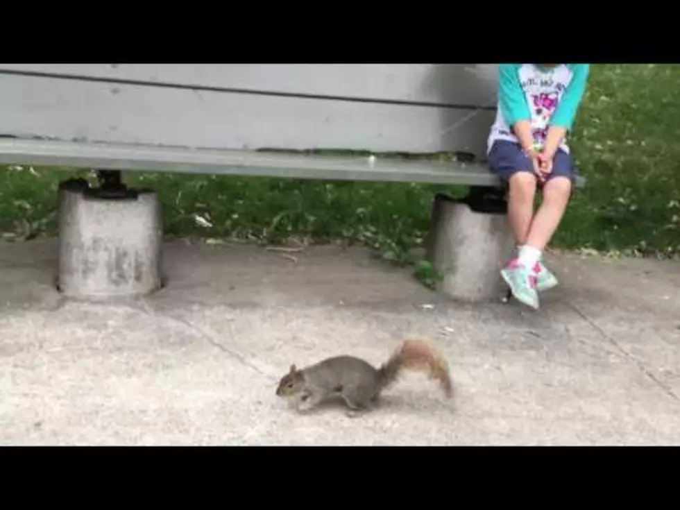 Witness This World First! – Girl Has Her Loose Tooth Pulled By A Squirrel [Video]