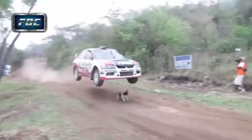 Rally Car Jumps Dog And Saves His Life 