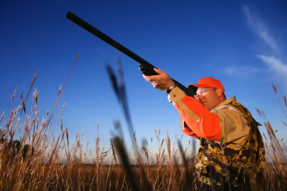 Helpful Hunting Tips from the Michigan DNR