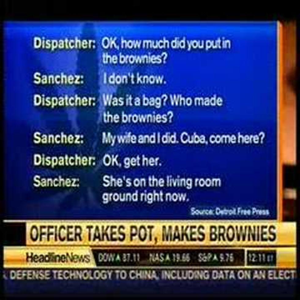Michigan Police Officer Took Marijuana From Suspects, Then Calls 911 Fearing He Overdosed