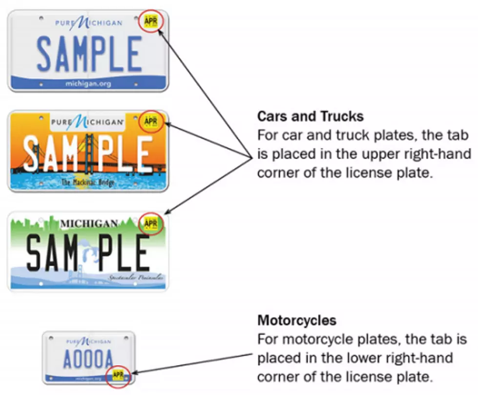 Here’s What To Do If You Lose Your License Plate Tab in Michigan