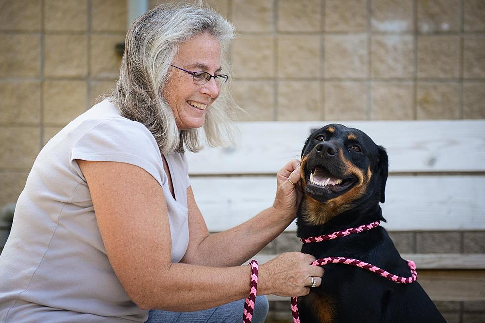 Meet Brandy – Christine’s Pet of the Week!