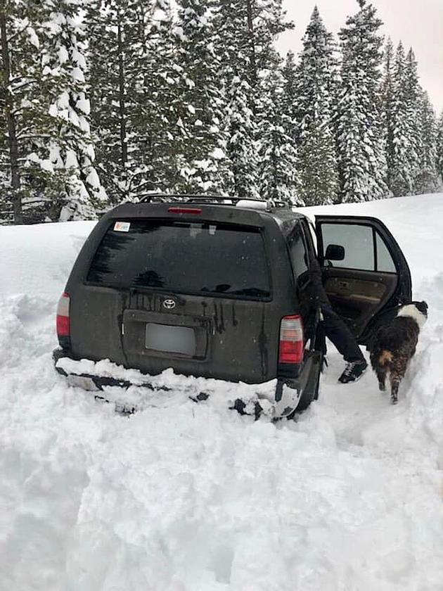 Guy Who Got Stuck In The Snow For 5 Days Is Getting Free Taco Bell