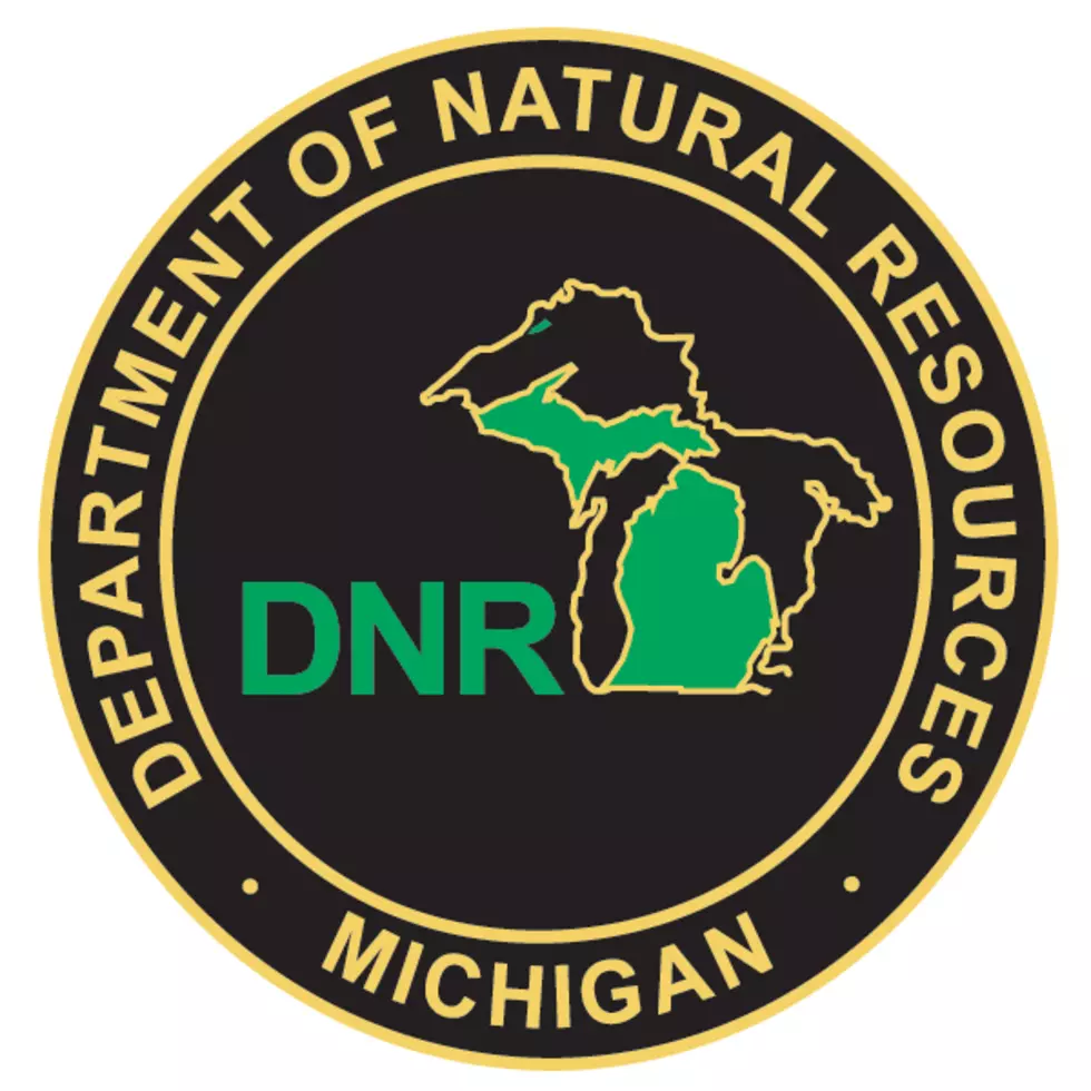 Michigan DNR Ticket 3 West MI Men For Poaching Walleye