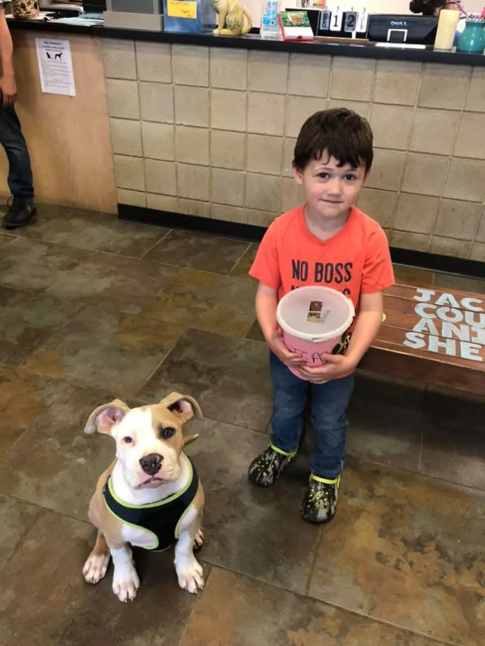 4-Year-Old MI Boy Starts Lemonade Stand To Help Animal Shelter