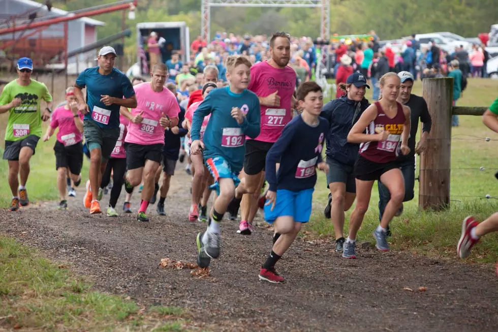 The Bee Brave 5k Benefiting Breast Cancer Research Is Saturday