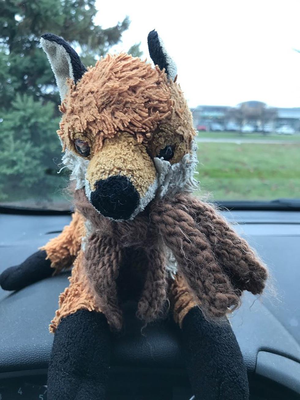 Foxy Has Been Found, Reunited, And It Feels So Good