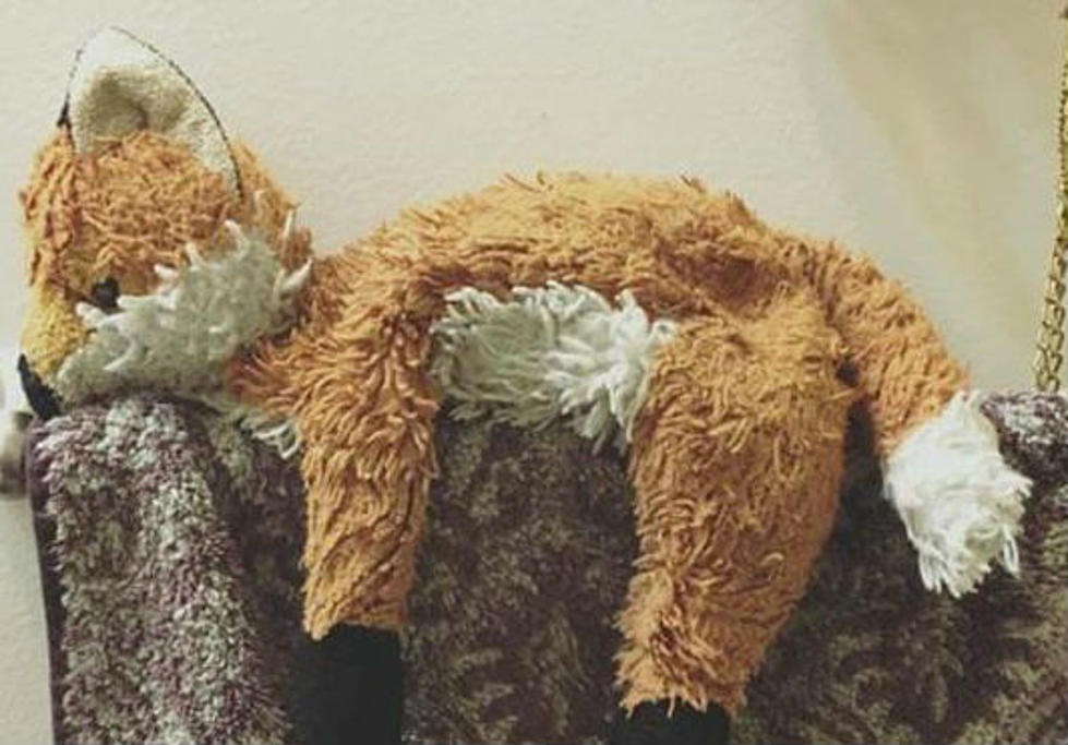 Help Reunite Michigan Girl With Stuffed Animal She Lost in Grand Rapids